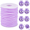 1 Roll Hollow Pipe PVC Tubular Synthetic Rubber Cord, Wrapped Around White Spool, with 8Pcs Plastic Cord Locks, Lilac, 2mm, Hole: 1mm, about 54.68 yards(50m)/roll