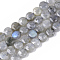 Natural Labradorite Beads Strands, Faceted, Flat Round, 6x3.5~4mm, Hole: 0.9mm, about 72pcs/strand, 15.55 inch(39.5cm)