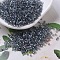 MIYUKI Delica Beads, Cylinder, Japanese Seed Beads, 11/0, (DB0179) Transparent Gray AB, 1.3x1.6mm, Hole: 0.8mm, about 20000pcs/bag, 100g/bag