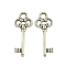 Tibetan Style Alloy Pendants, Skeleton Key, Lead Free & Cadmium Free, Antique Silver, 21x8x2mm, Hole: 2mm
