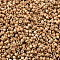 MIYUKI Delica Beads, Cylinder, Japanese Seed Beads, 11/0, (DB1152) Galvanized Semi-Frosted Champagne, 1.3x1.6mm, Hole: 0.8mm, about 10000pcs/bag, 50g/bag
