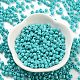 Выпечка краска стеклянные бусины SEED-A032-02H-2