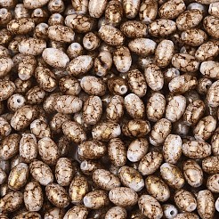 Спрей роспись стекла бисер&nbsp;SEED-T007-14E