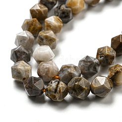 Натуральные гоби-агат нити&nbsp;G-NH0012-B03-01