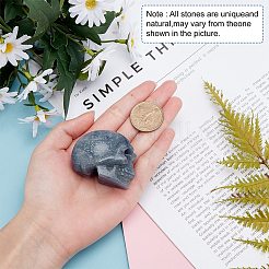 Хэллоуин окрашенный и нагретый натуральный синий авантюрин украшения для дома DJEW-SC0001-03A