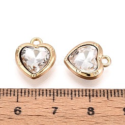 Подвески сплава Rhinestone&nbsp;PALLOY-T092-23G-01