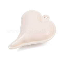 Непрозрачной акриловые большие подвески OACR-B036-17