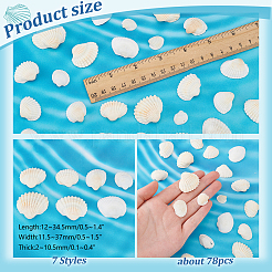 Украшение дома из натуральных ракушек AJEW-PH0012-03