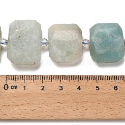 Натуральный цветок амазонитовые бусины пряди G-H078-B23-01