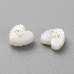 5шт натуральные белые бусины из ракушек BSHE-TAC0004-02I