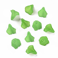 Прозрачные колпачки акриловая бисера X-PL551-C07