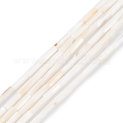 Нити бусин из натуральных пресноводных ракушек SHEL-M018-10