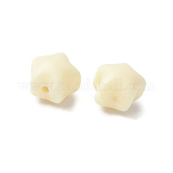 Натуральные бусины тагуа фурнитура для ювелирных изделий WOOD-V001-03