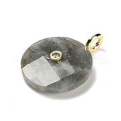 Ограненные подвески из натурального лабрадорита&nbsp;G-A287-02G-02