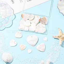 20шт 5 стиля подвески из натуральных пресноводных ракушек&nbsp;SHEL-SC0001-95