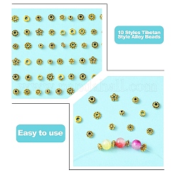 100 шт. 10 стиля бусины из сплава в тибетском стиле&nbsp;TIBEB-YW0001-14AG