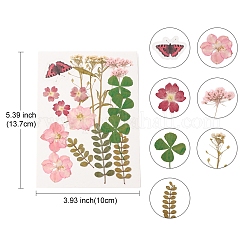 Прессованные сушеные цветы DIY-YWC0001-95