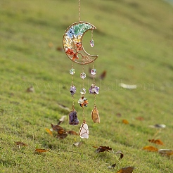 Луна PW-WG87562-01