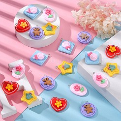 30шт 5 стиля непрозрачные подвески из смолы RESI-CJ0002-30