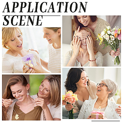 8 шт. 4-х стильная стойка с покрытием из нержавеющей стали 304 подвески&nbsp;FIND-BBC0001-38