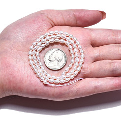 Нити из натурального культивированного пресноводного жемчуга PEAR-N012-03F