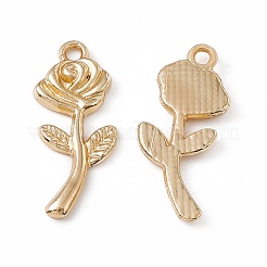 Подвески из сплава  PALLOY-K259-05G