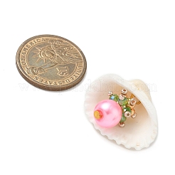 8 шт. подвески из натуральной ракушки и круглого стекла 8 цветов&nbsp;PALLOY-MZ00912