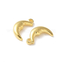 Подвески из нержавеющей стали 304 STAS-I330-060G