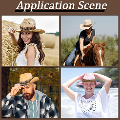 2 шт. 2 стиля шляпных лент из перьев&nbsp;DIY-GF0011-61