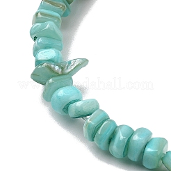 Бусины из натуральных пресноводных ракушек SHEL-B003-01B