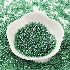 Прозрачные цвета блеск стеклянный бисер SEED-S042-17B-01