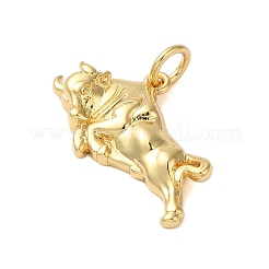 Стойки обшивки латунные подвески&nbsp;KK-S372-07G