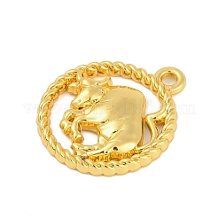 Подвески из сплава «двенадцать созвездий»&nbsp;PALLOY-Q006-01I-G