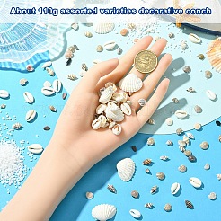 Наборы для самостоятельного изготовления украшений из ракушек&nbsp;DIY-YW0017-04