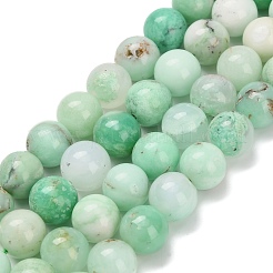 Бусины из натурального халцедона G-C259-B02-10mm