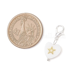 4 шт. подвесных украшений из натуральных морских ракушек&nbsp;HJEW-JM03947-02