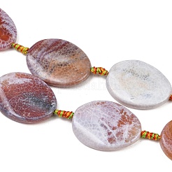 Природные пожары треск агат бисер нитей&nbsp;G-P605-L03-01D