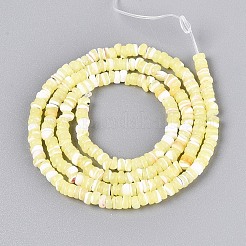 Нити бусин из натуральных трохоидных/трохус ракушек&nbsp;SSHEL-N040-21G