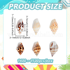 Натуральные спиральные бусы из ракушек SSHEL-PH0002-03