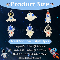 6шт 6 стиля подвески из смолы&nbsp;RESI-YW0005-67