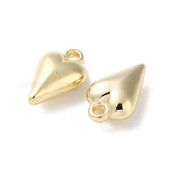 Пластмассовые подвески ccb CCB-C001-04G