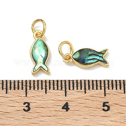 Амулеты в виде рыбок из натуральных раковин морского ушка&nbsp;KK-F926-04A