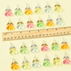 40шт подвески из акрилового стекла 10 цветов PALLOY-FS00018