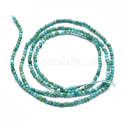 Хубэй природных бирюзовый бисер нитей G-M353-A17-2mm