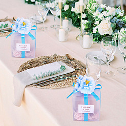 Прозрачные подарочные коробки для упаковки конфет из ПВХ с лентой и искусственным цветком CON-TAC0001-20B