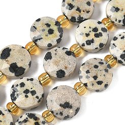 Природные яшмы далматин бисер нитей G-G271-C01-10mm