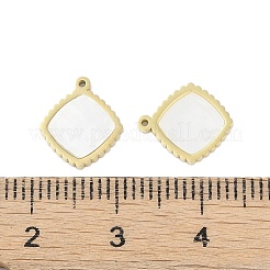 Натуральные раковины&nbsp;STAS-P366-25B-G