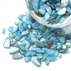 Бусины из ракушек SHEL-R020-08