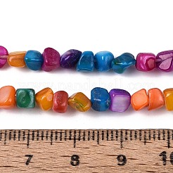 Нити бусин из натуральных пресноводных ракушек&nbsp;SHEL-N037-04B