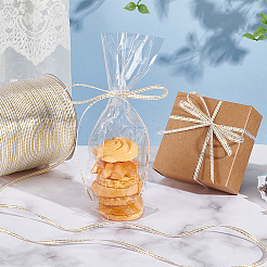 Полиэфирные ленты SRIB-WH0011-219A-01